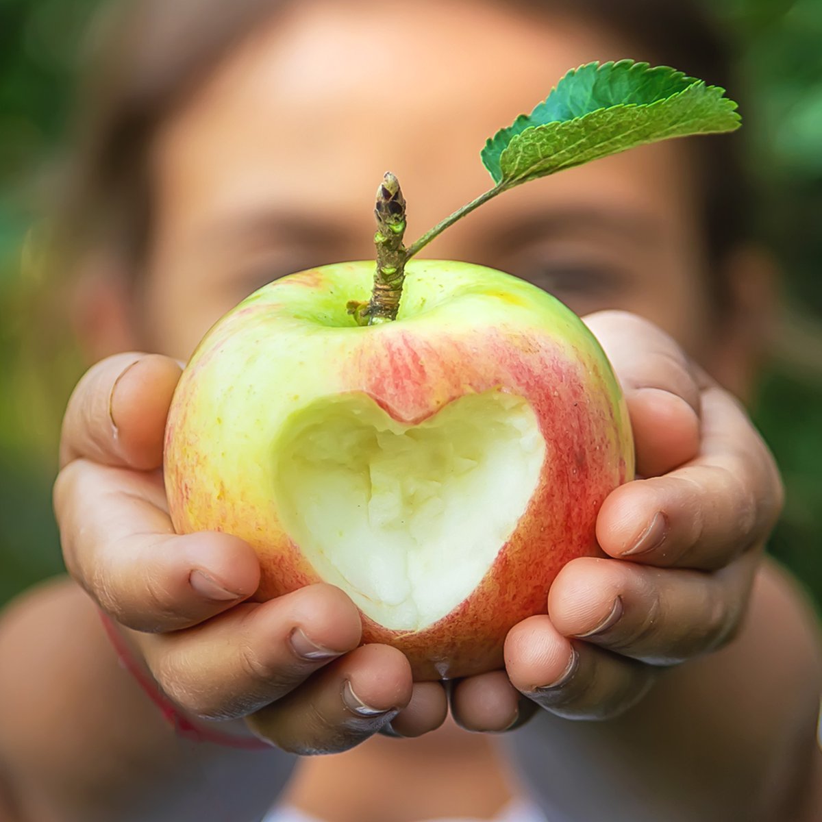 barons_dining's tweet photo. It's #NationalAppleDay and we want to know your favorite apple creation. For us, it's a tie between apple cider and apple pie 🍎 🍏  What's yours? https://t.co/83TMW3Rk00