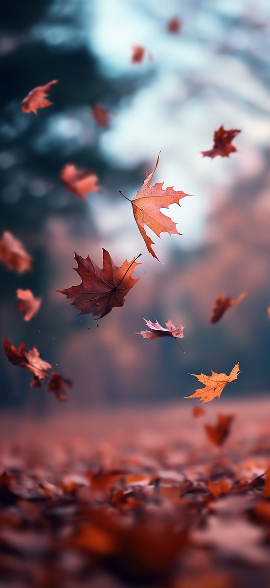 vukandric's tweet photo. Autumn is here 🍂 https://t.co/xYaf5jVdS4