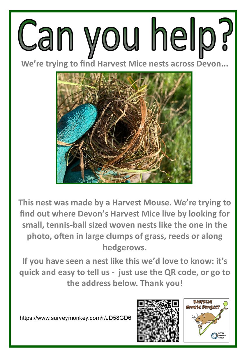 The 2024-25 season has started, thanks to the generous funding by <a href="/devon_enviro/">Devon Environment Foundation</a> ! Can you help us find harvest mouse nests in Devon?  Click on eepurl.com/dKmstA to subscribe to our newsletter and find out about upcoming events and surveys.