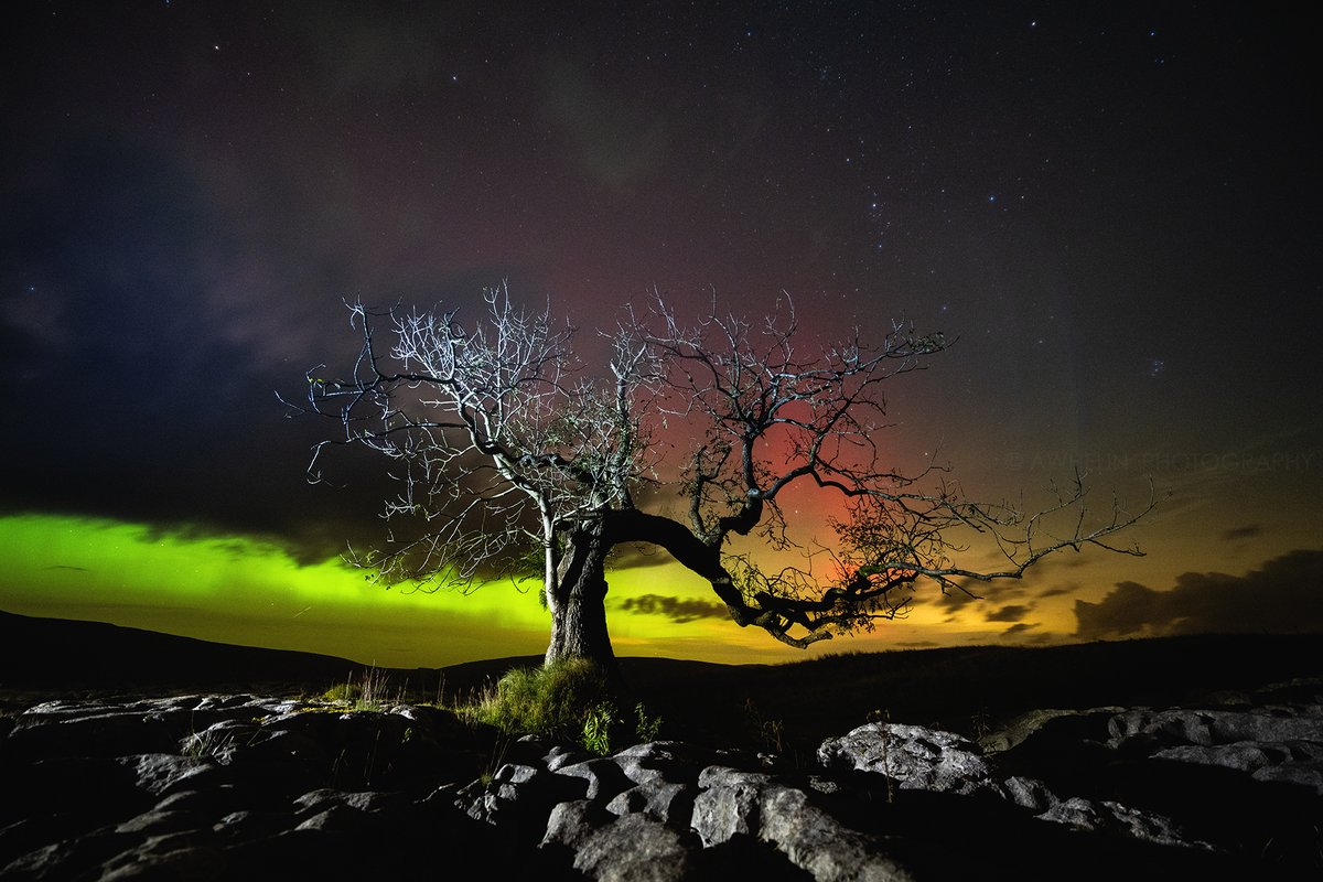 Yorkshire Dales National Park (@yorkshire_dales) on Twitter photo 1️⃣0️⃣ years of celebrating our dark skies with the <a href="/NorthYorkMoors/">North York Moors NP</a> this Feb! 🎉
Our #DarkSkiesFestival (14 Feb - 2 Mar) has become an unmissable attraction, offering visitors the chance to explore and marvel at a truly dark sky!
yorkshiredales.org.uk/dark-skies-fes…
📸 Awhelin Photography 1️⃣0️⃣ years of celebrating our dark skies with the <a href="/NorthYorkMoors/">North York Moors NP</a> this Feb! 🎉
Our #DarkSkiesFestival (14 Feb - 2 Mar) has become an unmissable attraction, offering visitors the chance to explore and marvel at a truly dark sky!
yorkshiredales.org.uk/dark-skies-fes…
📸 Awhelin Photography
