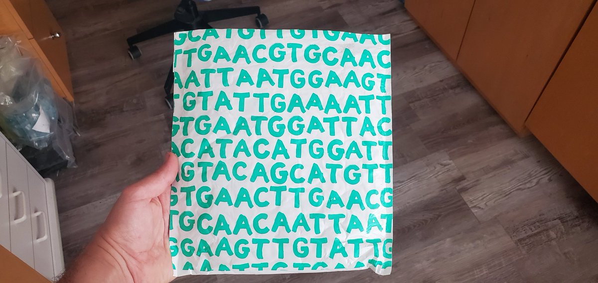 Sebastian S. Cocioba🪄🌷 tweet media