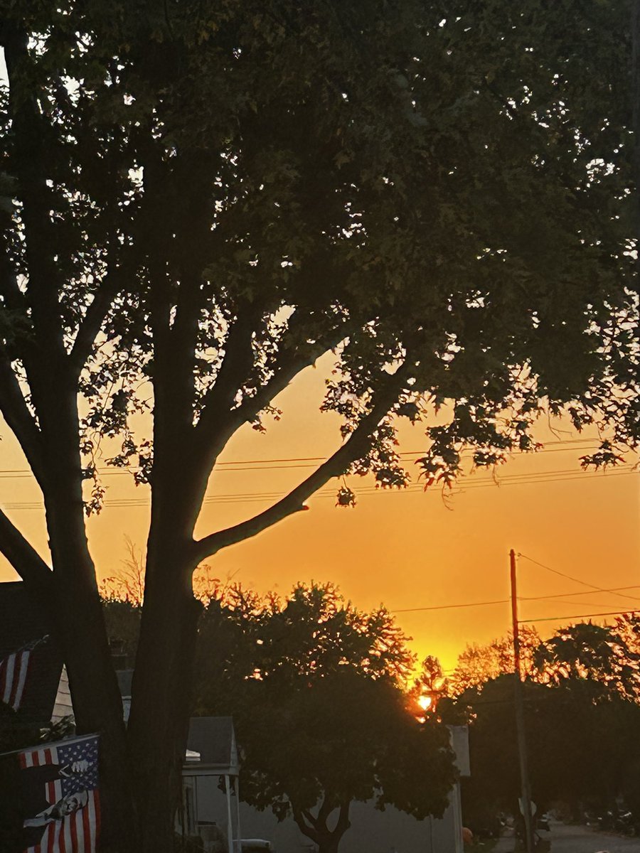 Steve Cook tweet media