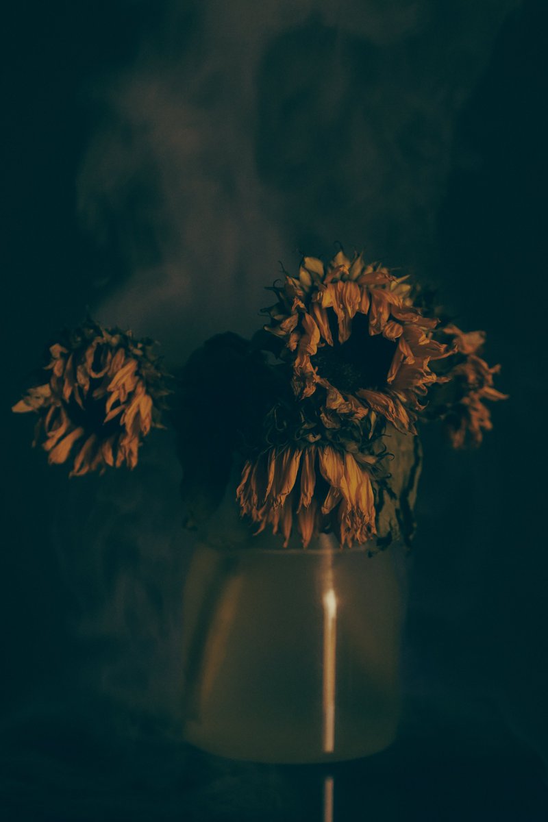 Refletindo sobre a transitoriedade da vida com minha nova série de fotos: Beleza na Decadência. A transformação e a vulnerabilidade coexistem, assim como a força nas imperfeições.

Leia mais sobre o processo no meu blog: BetweenEntreMundos.com
#BelezaNaDecadência #ArteEAlma