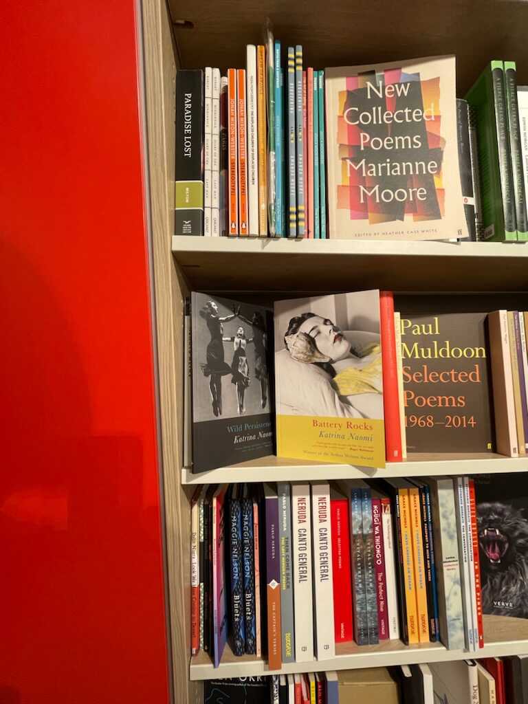 Katrina Naomi (@katrinanaomi) on Twitter photo Thanks to Amanda Pyne who saw Battery Rocks & Wild Persistence (both <a href="/SerenBooks/">Seren Books</a>) in Foyles on London's Charing X Rd & sent me this photo Thanks to Amanda Pyne who saw Battery Rocks & Wild Persistence (both <a href="/SerenBooks/">Seren Books</a>) in Foyles on London's Charing X Rd & sent me this photo