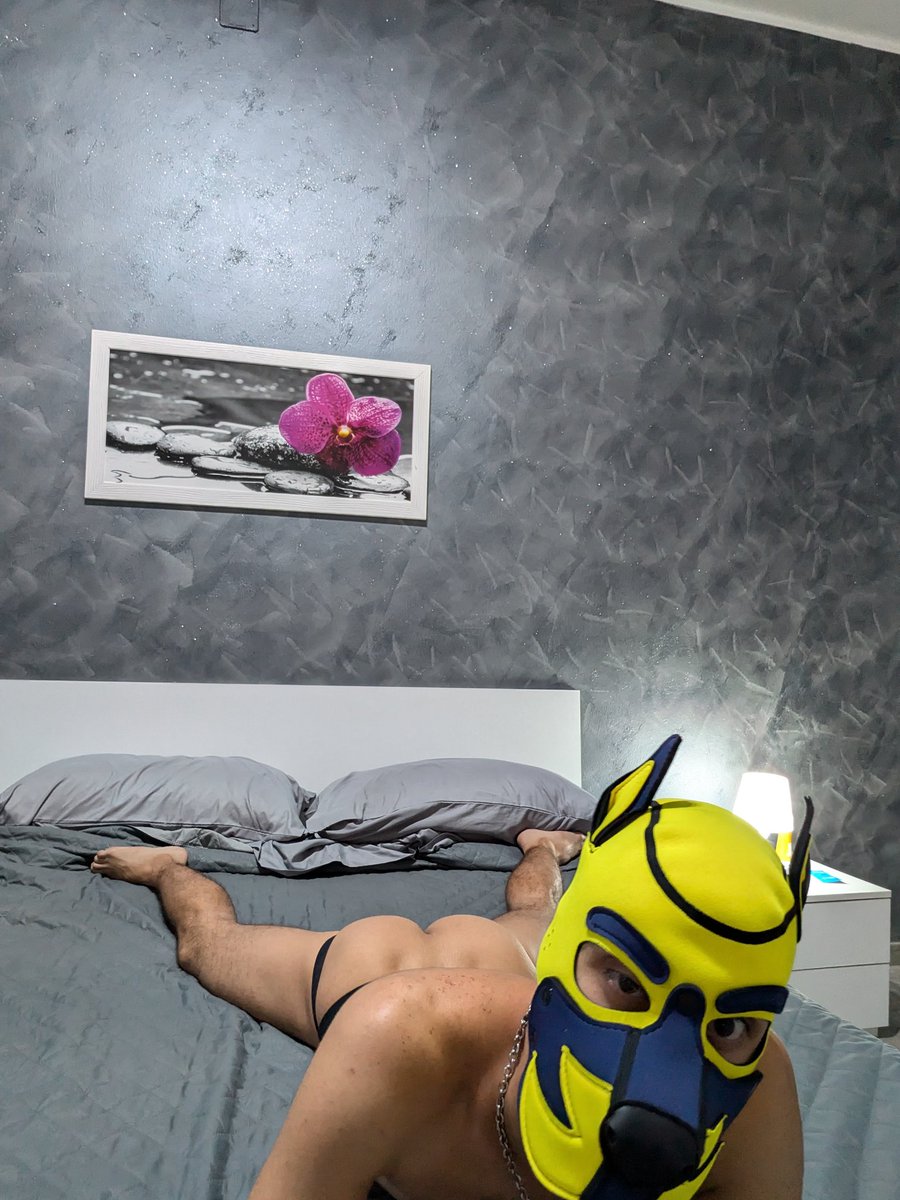 PuppyRay tweet media