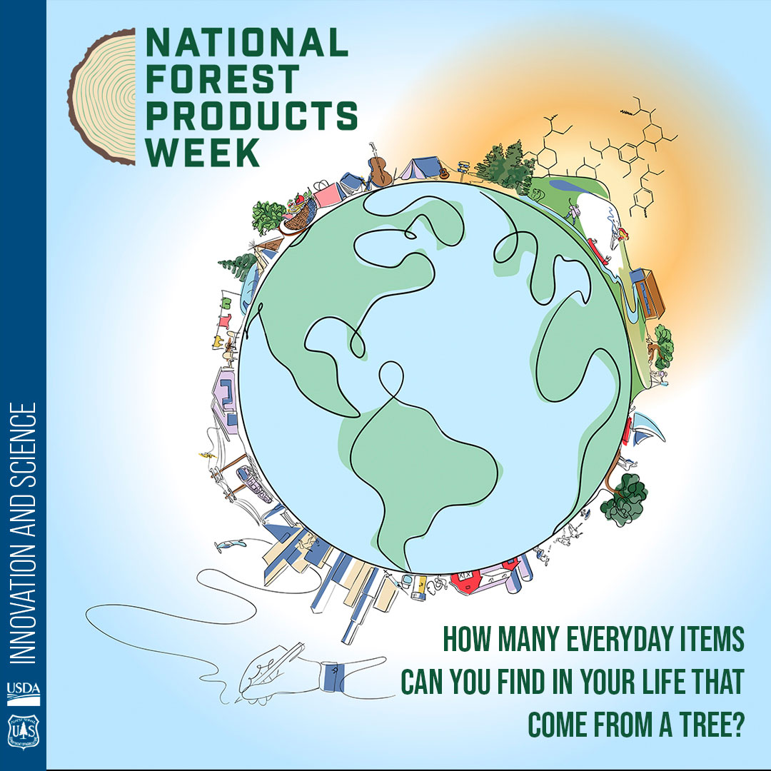 LakeTahoeUSFS's tweet image. Its National Forest Products week!
Forests provide far more than just wood for furniture or paper. How many everyday items can you find in your life that come from a tree? Full story: tinyurl.com/y524sk66. #ThinkOutsideTheBox #NationalForestProductsWeek