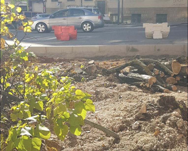 ASDEN_Soria's tweet photo. La acción #arboricida del @Ayto_Soria, que tanto proclama la #Agenda2030 #BRERA y #RenaturalizaciónUrbana, continúa en la Pza las Balsas.
📸 de esta tarde: dañan, corta, trocean y hacen desaparecer.
Una más para #SoriaNoCuidaSusArboles. https://t.co/6026QmQoAe