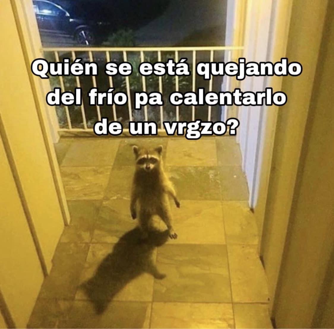 Vaya Vaya Tacubaya (@vayavayatacuba) on Twitter photo 