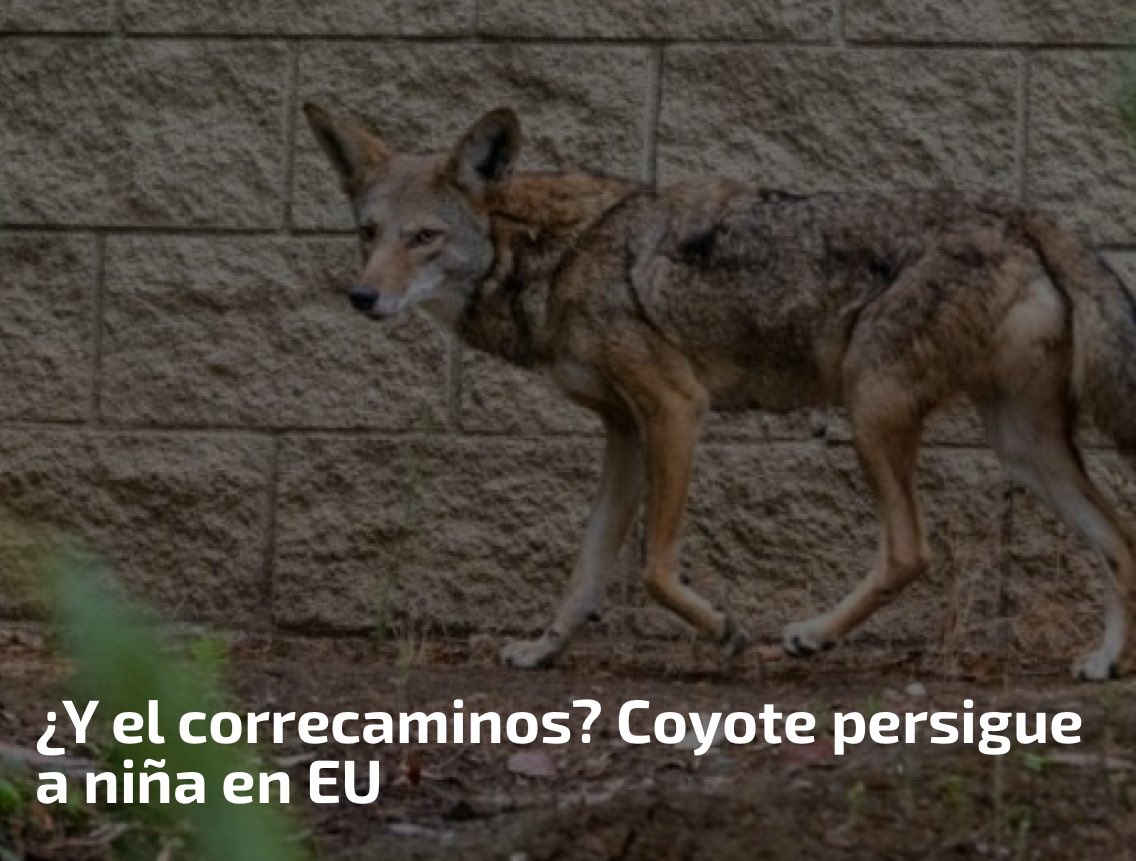 Kinxoc's tweet image. @ruleiro @eltalcha #PoderosoGoteo