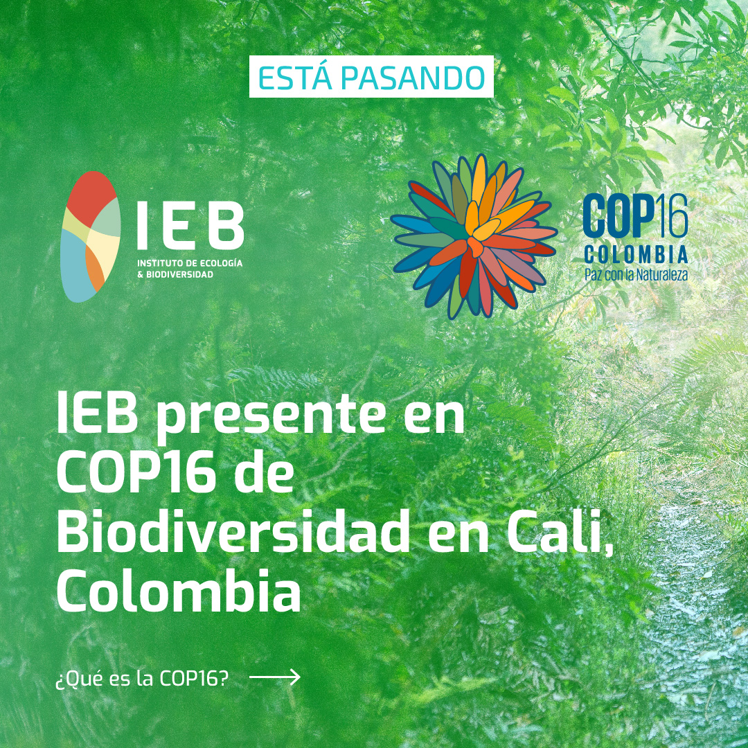 Instituto de Ecología y Biodiversidad - IEB tweet media
