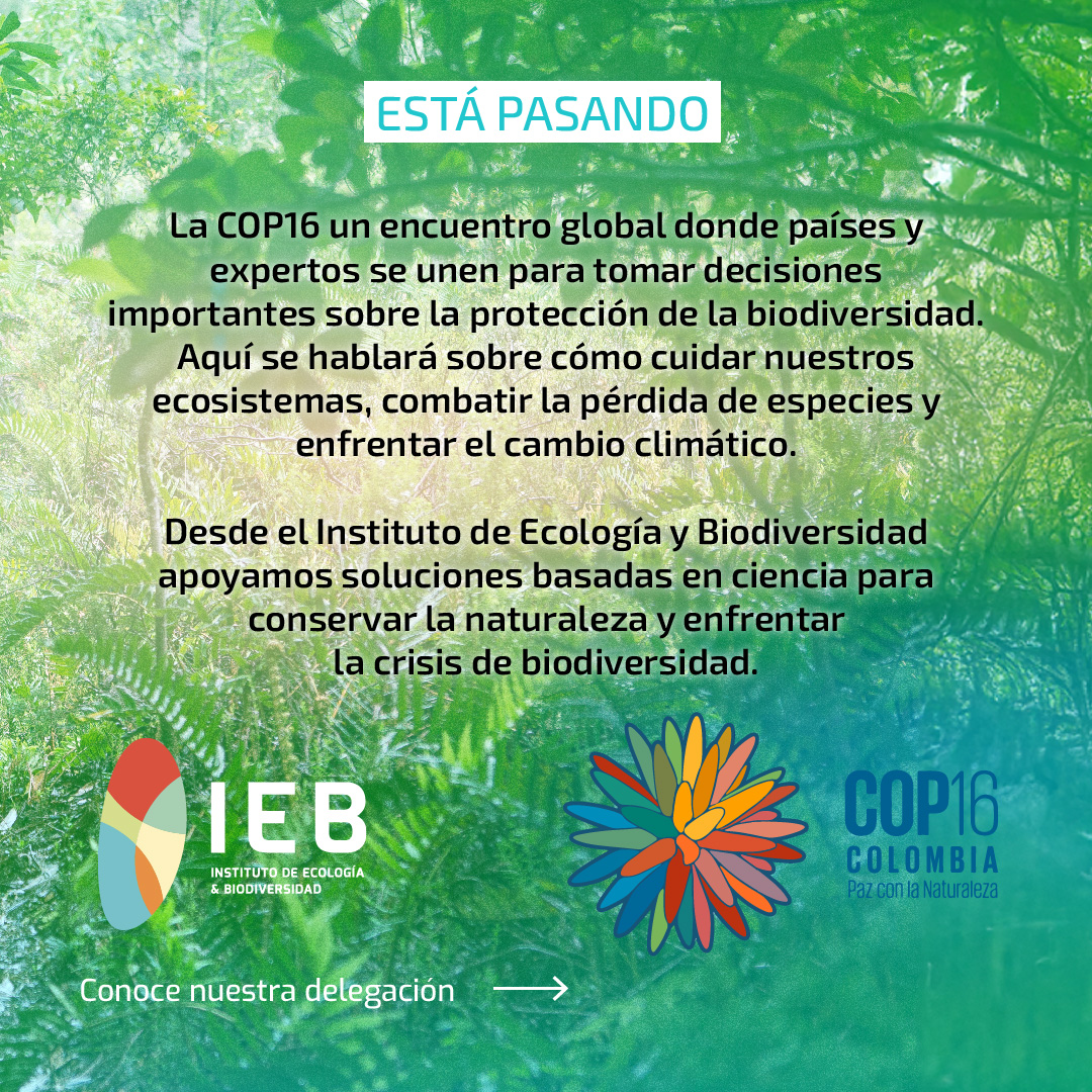 Instituto de Ecología y Biodiversidad - IEB tweet media