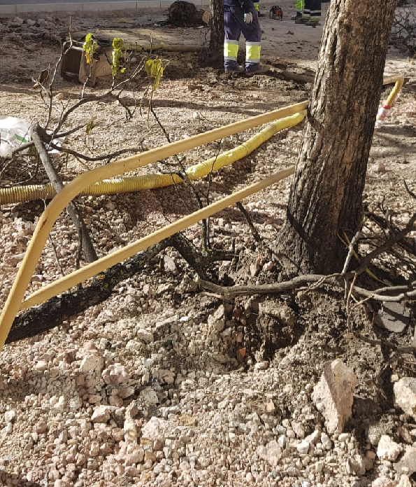 ASDEN_Soria's tweet photo. La acción #arboricida del @Ayto_Soria, que tanto proclama la #Agenda2030 #BRERA y #RenaturalizaciónUrbana, continúa en la Pza las Balsas.
📸 de esta tarde: dañan, corta, trocean y hacen desaparecer.
Una más para #SoriaNoCuidaSusArboles. https://t.co/6026QmQoAe