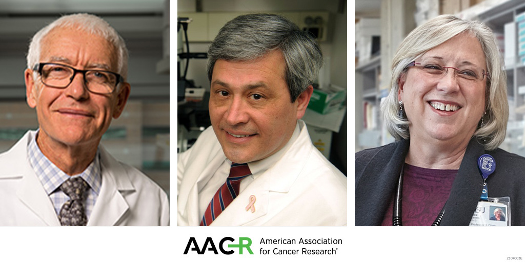 AACR's tweet photo. We congratulate the 14 AACR members who were elected to the National Academy of Medicine, including AACR Past Presidents and #AACRFellows Carlos L. Arteaga, Lisa M. Coussens, and Peter A. Jones.
https://t.co/0HO3H9OnxJ
#NAMmtg @theNAMedicine @CarlosArteagaMD @coussens_lisa https://t.co/JyLnpW8LHL