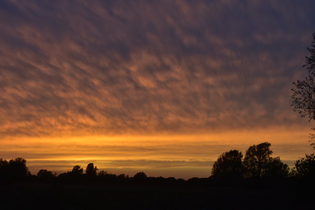 Lovely autumn sunset at @WickenFenNT