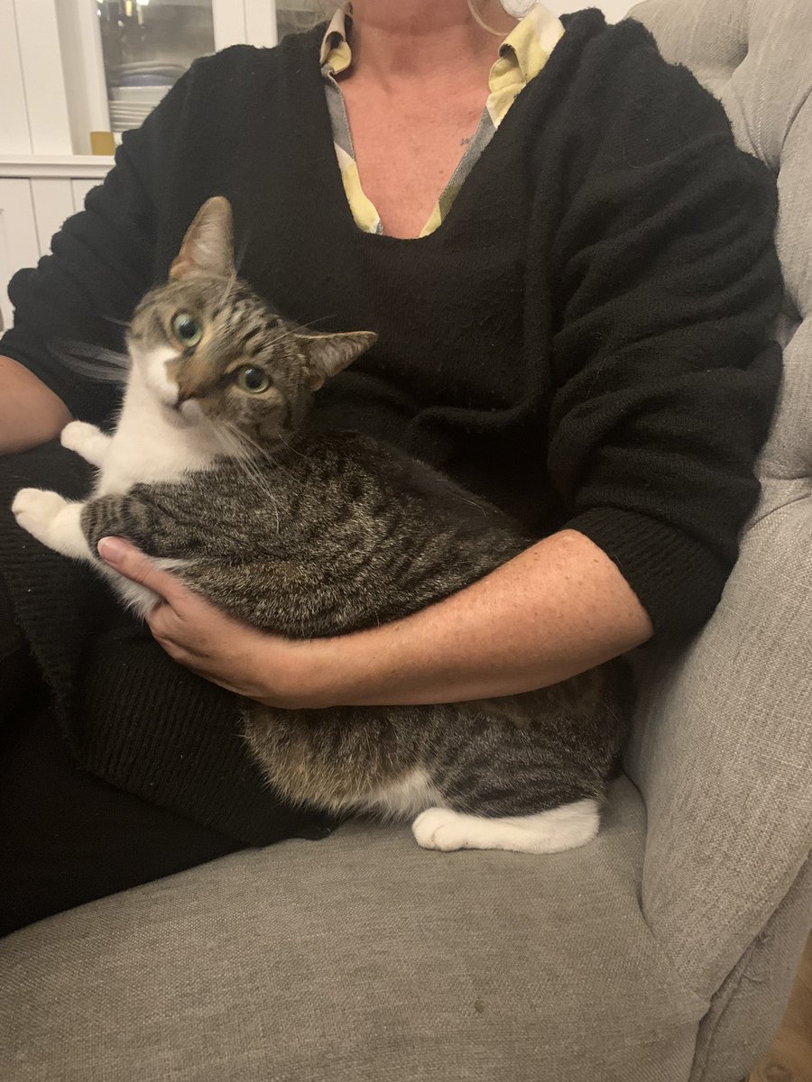 chonky mf’er