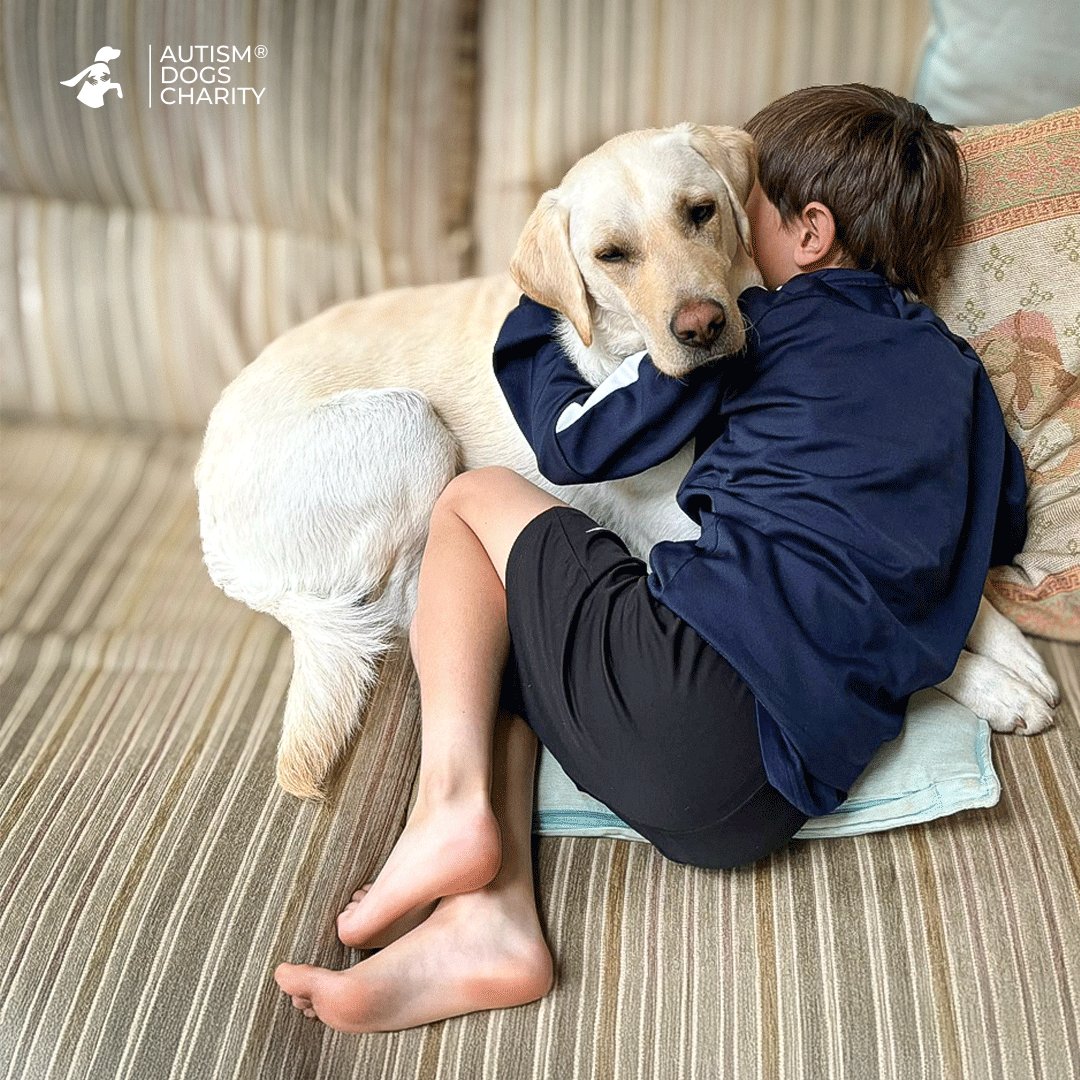 Did you know autism assistance dogs offer life-changing support? 🐾 They calm anxiety, help manage sensory sensitivity, and boost confidence, allowing handlers to tackle everyday challenges with ease. 🌍💪
#AutismSupport #CalmingCompanions #LifeChangingDogs #AnxietySupport