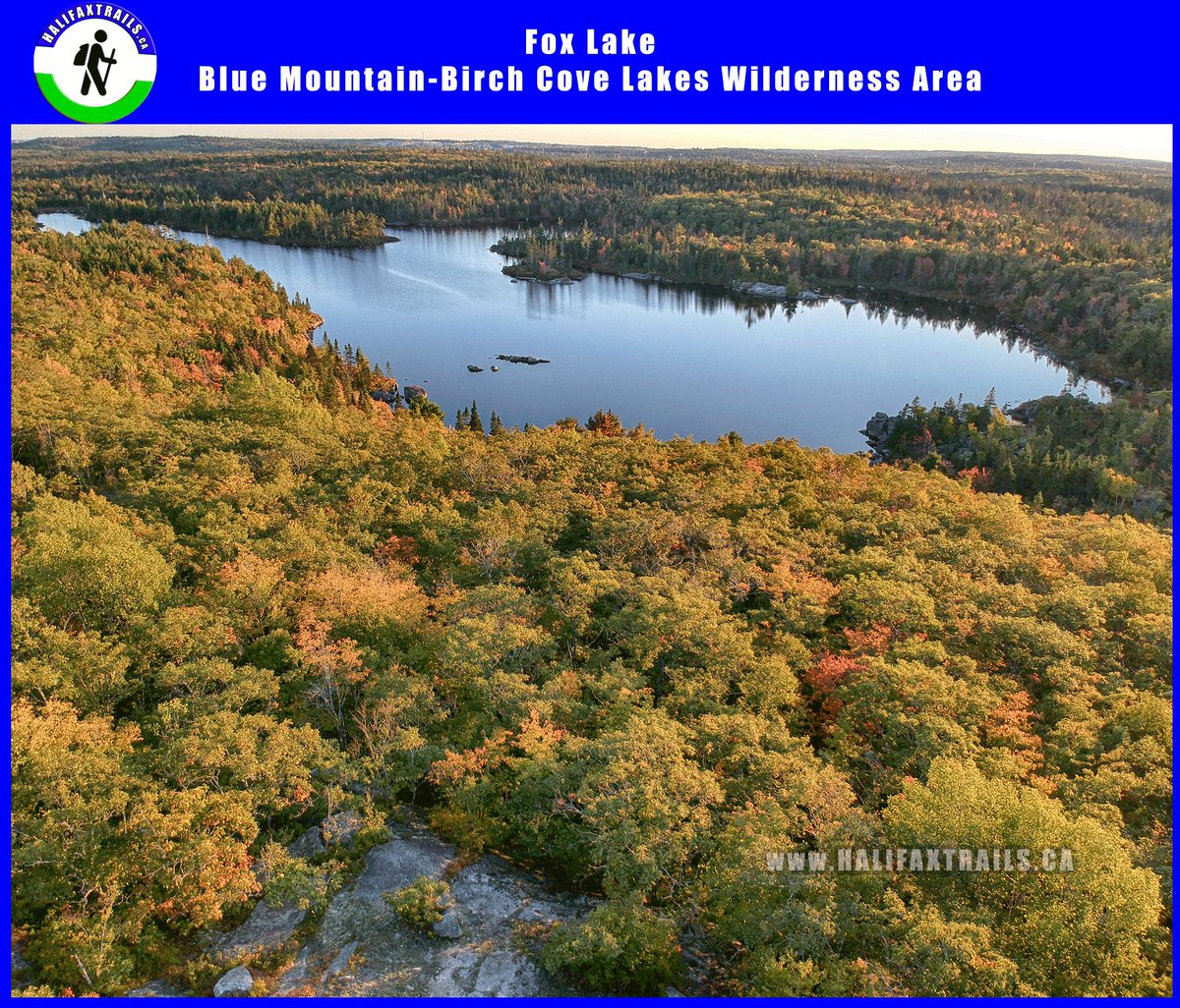 Fox Lake in #Halifax's #BMBCL Wilderness Area. These are the kinds of places that make #NovaScotia so special. halifaxtrails.ca/fox-lake-hikin…
