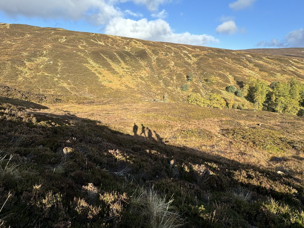 Robin Smith tweet media