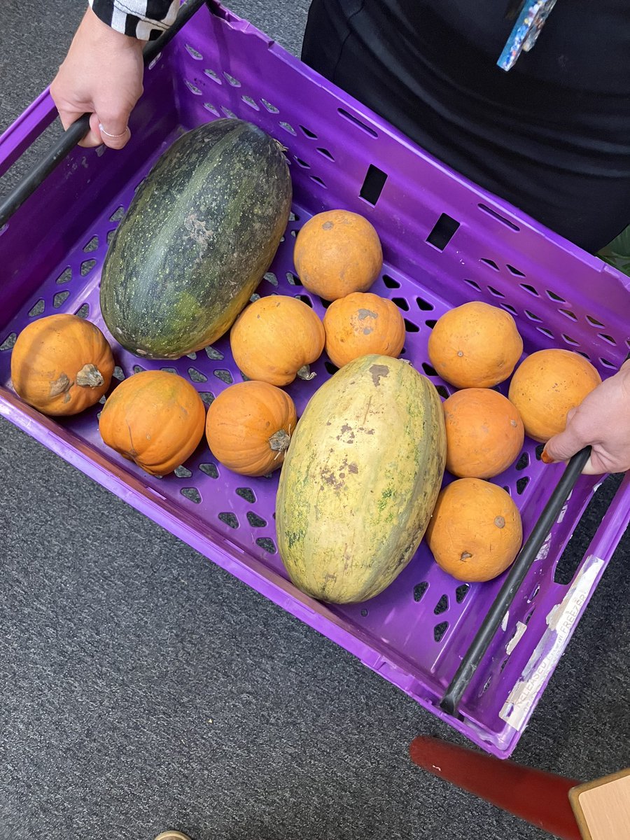 AyresomePrimary's tweet photo. An autumnal invitation to explore new textures, colours and natural forms #pumpkinexploration 
Reception and Year 1 have loved this opportunity 🎃🍁🎃 @AdAstraTrust https://t.co/DLv3yENdME