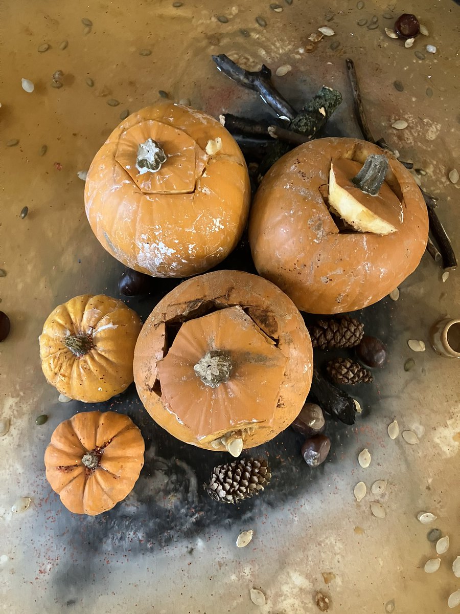AyresomePrimary's tweet photo. An autumnal invitation to explore new textures, colours and natural forms #pumpkinexploration 
Reception and Year 1 have loved this opportunity 🎃🍁🎃 @AdAstraTrust https://t.co/DLv3yENdME