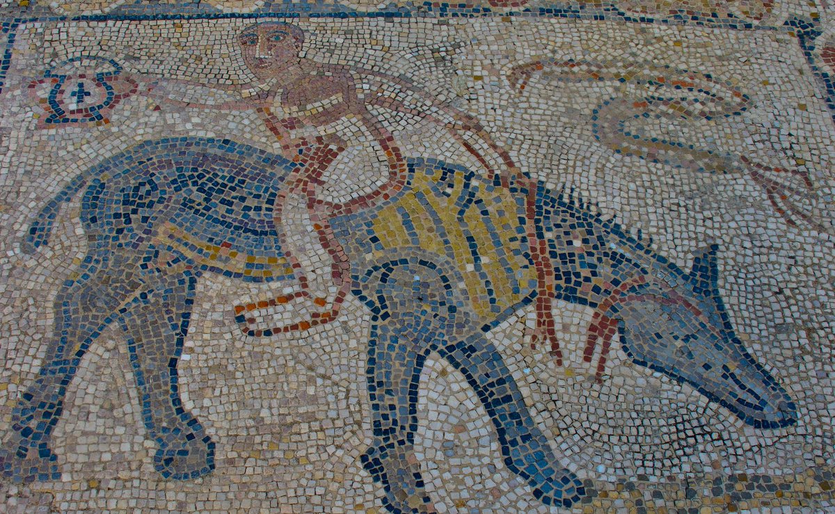 Fishbourne Roman Palace tweet media