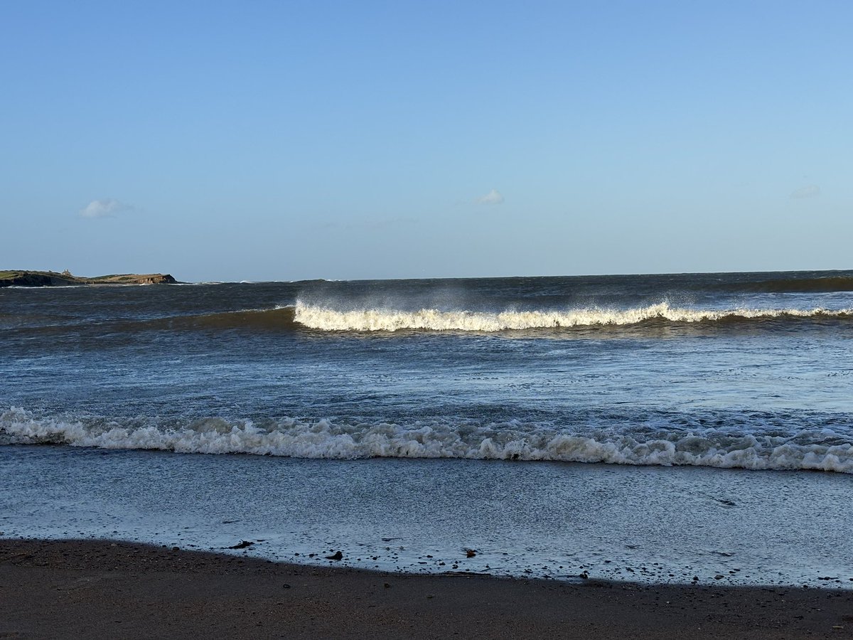 Sugar Sands stirred