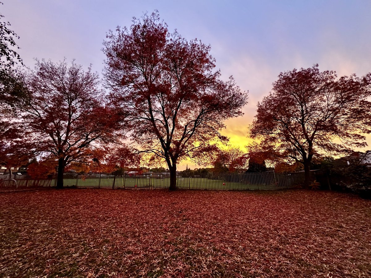 George Biswas tweet media