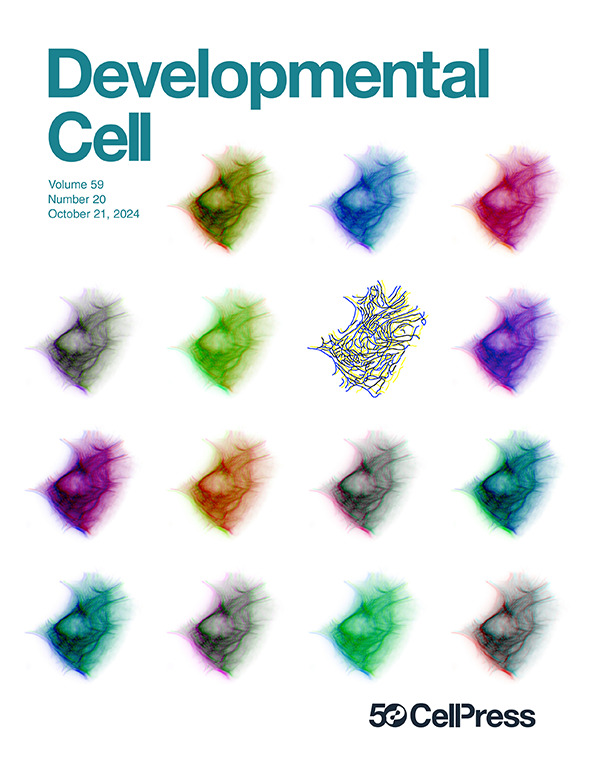Benjamin Nanes (@benjaminnanes) on Twitter photo We’re thrilled to see our artistic rendition of the keratin intermediate filament cytoskeleton highlighted on the cover of <a href="/Dev_Cell/">Developmental Cell</a> along with our paper!
cell.com/developmental-… We’re thrilled to see our artistic rendition of the keratin intermediate filament cytoskeleton highlighted on the cover of <a href="/Dev_Cell/">Developmental Cell</a> along with our paper!
cell.com/developmental-…