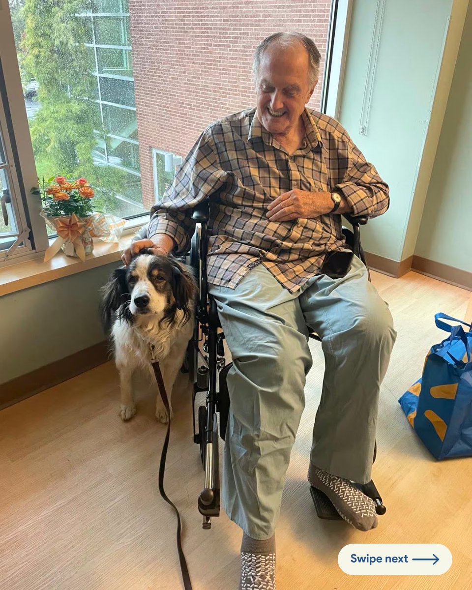 GlobalStrays's tweet image. 🐾 Meet Gita, the hero pup who saved her owner’s life! When 84-year-old Keith Johnson collapsed outside his cabin, Gita knew exactly what to do. She ran off and found Deputy Colton Wright, who followed her through the woods to Johnson’s side 💙