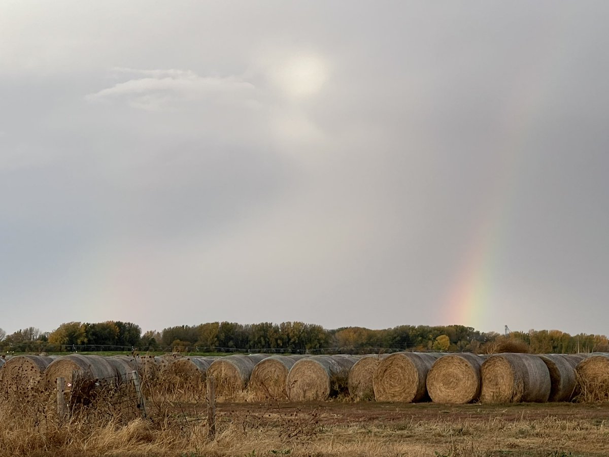 Commute was a little different this morning compared to last week. Did you get any rain?