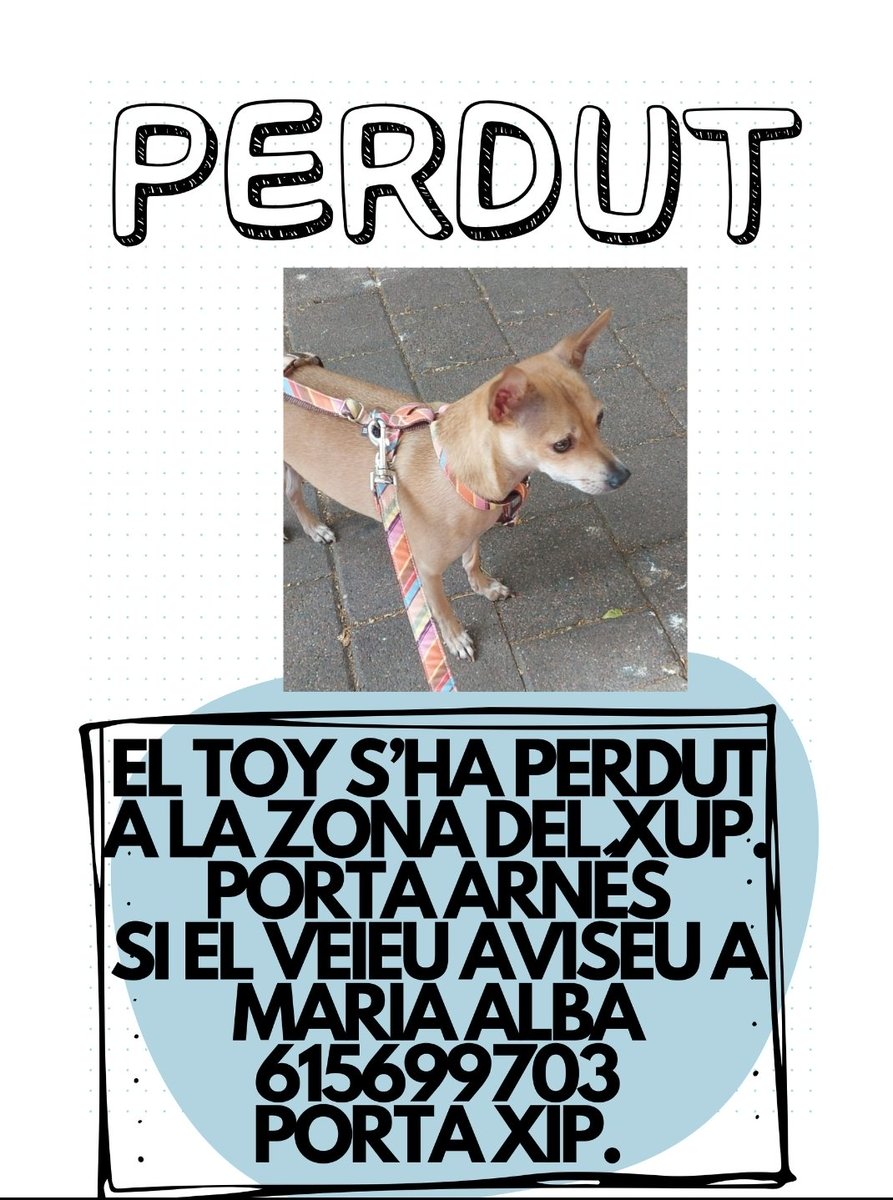 BatecAnimal's tweet photo. #XarxaBarcelonaPerduts Gos perdut a #Manresa. https://t.co/4BYjUleDUL