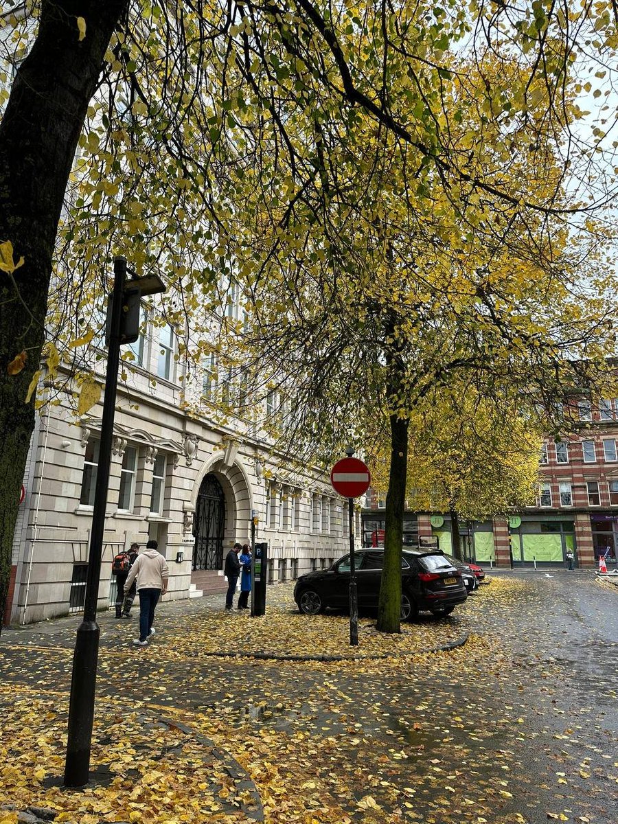 The autumn breeze blows gently, and the leaves slowly turn yellow in the sun, as if it is a golden painting carefully prepared for us by nature, filled with the breath of harvest.🏵

#yellowleaves #autumn