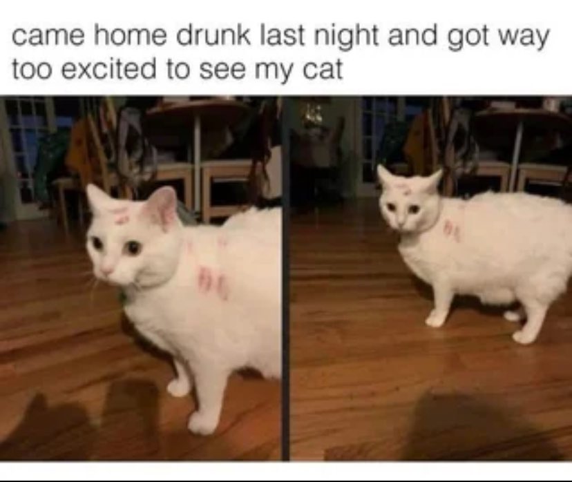 FNMB's tweet photo. @baileymeyers was this you? https://t.co/p4n53F1lBi