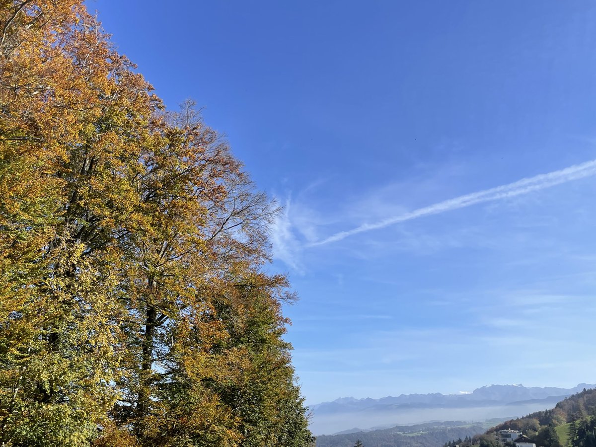 Rafael_Nala's tweet image. What a beautiful day! #fallfeelings