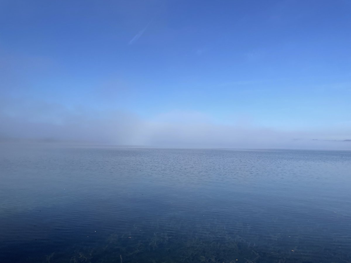 Rafael_Nala's tweet image. What a beautiful day! #fallfeelings