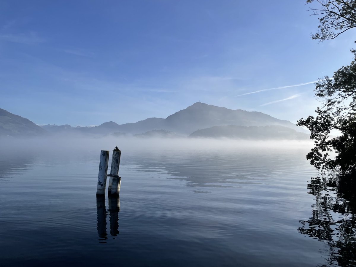 Rafael_Nala's tweet image. What a beautiful day! #fallfeelings