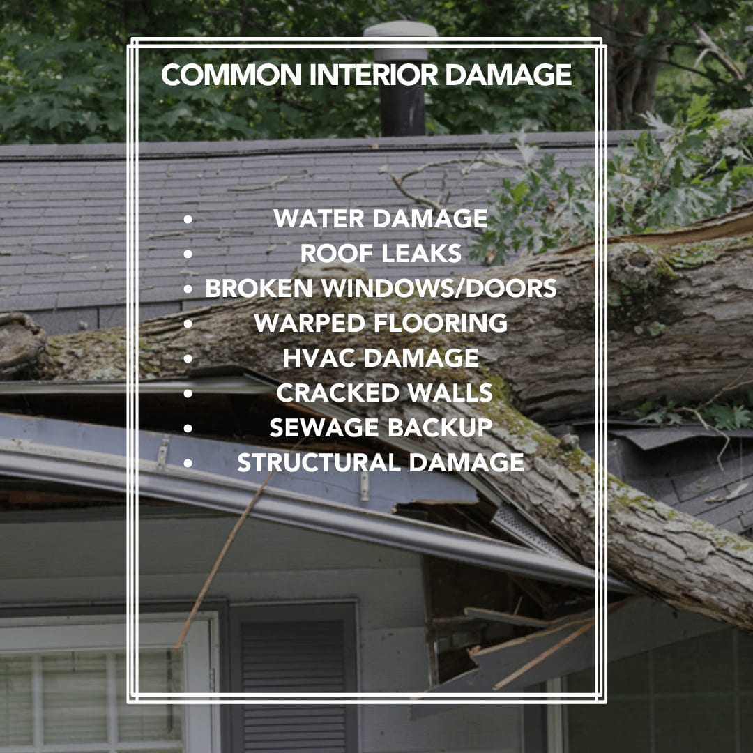 PaulDavisRestoration tweet media