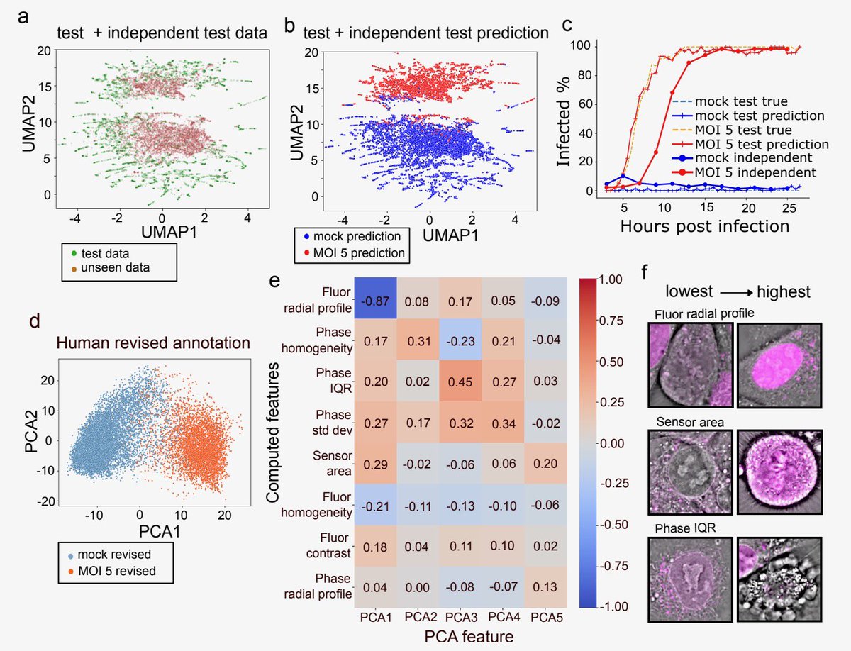 Alishba Imran (@alishbaimran_) on Twitter photo Excited to share work I had the opportunity to co-lead at <a href="/czbiohub/">Chan Zuckerberg Biohub Network</a>! We introduce DynaCLR, a self-supervised framework for modeling cell dynamics during perturbations via contrastive learning of time-lapse data.
arxiv.org/abs/2410.11281
(1/11) Excited to share work I had the opportunity to co-lead at <a href="/czbiohub/">Chan Zuckerberg Biohub Network</a>! We introduce DynaCLR, a self-supervised framework for modeling cell dynamics during perturbations via contrastive learning of time-lapse data.
arxiv.org/abs/2410.11281
(1/11)