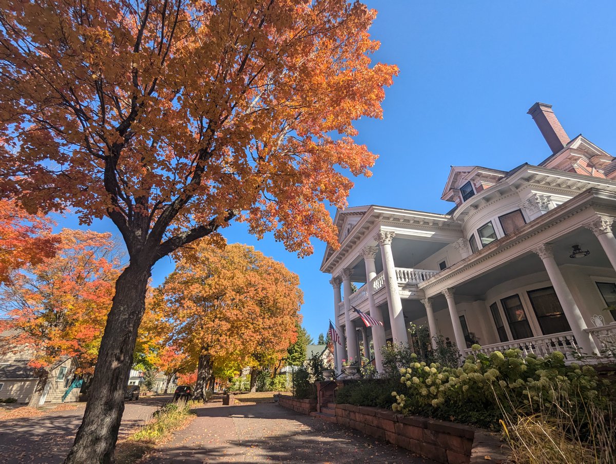 Visit_Keweenaw's tweet image. Explore a place where time weaves through past and present. 💛 Autumn&apos;s colors strike a chord in Laurium ⤵️ 

🔗 visitkeweenaw.com/blog/post/laur…

📆 Oct. 2024 | Laurium Manor Inn #FallFilter