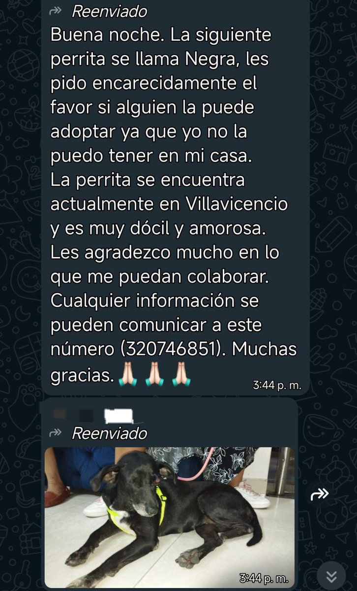 Me ayudan a Difundir gracias !

#Villavicencio #Bogota #Adoptar #Perros #negra