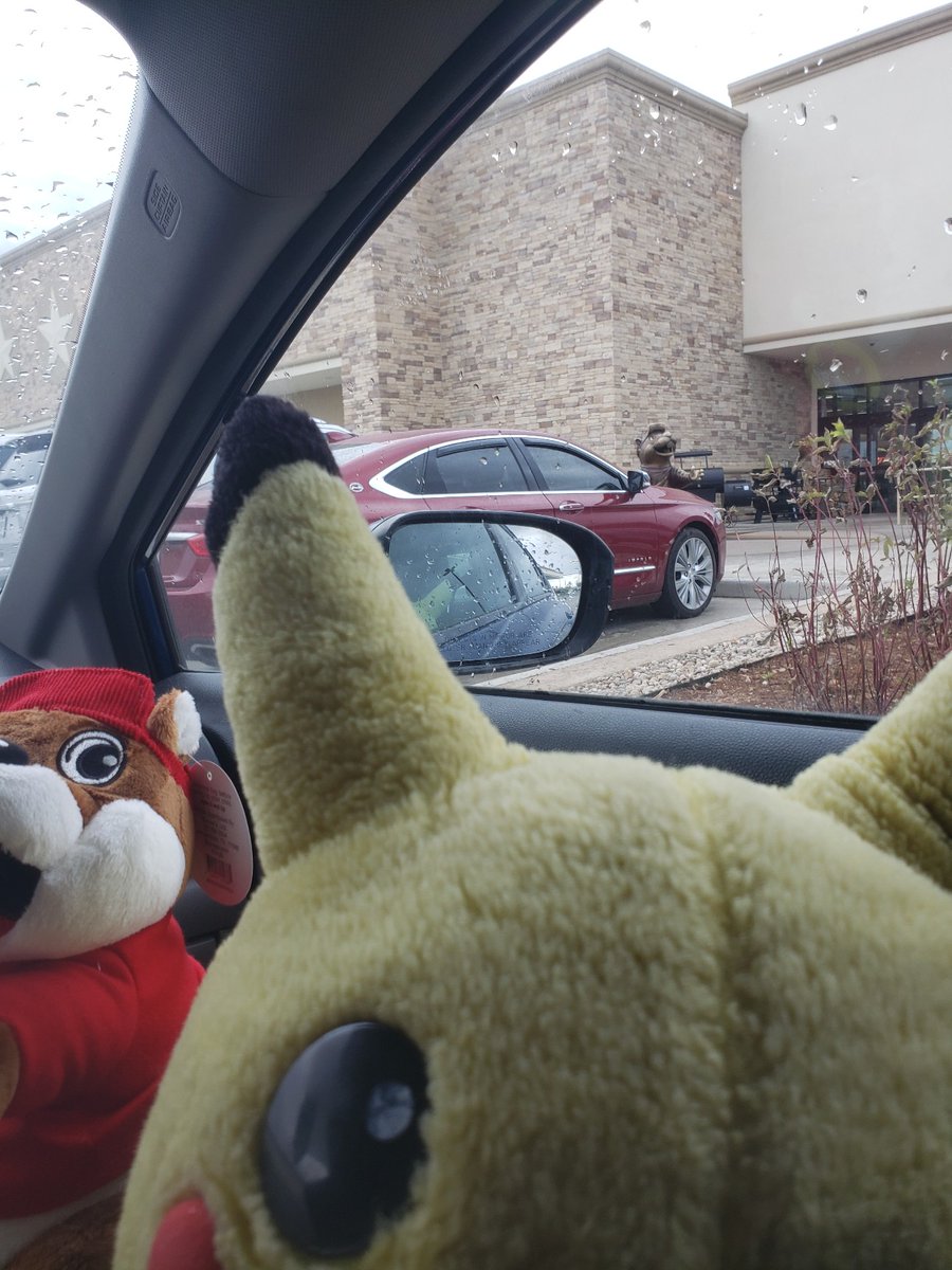 PikachuSupport's tweet image. I WAS going to take a photo with Buc-ee, but it started raining and I refuse to get wet.