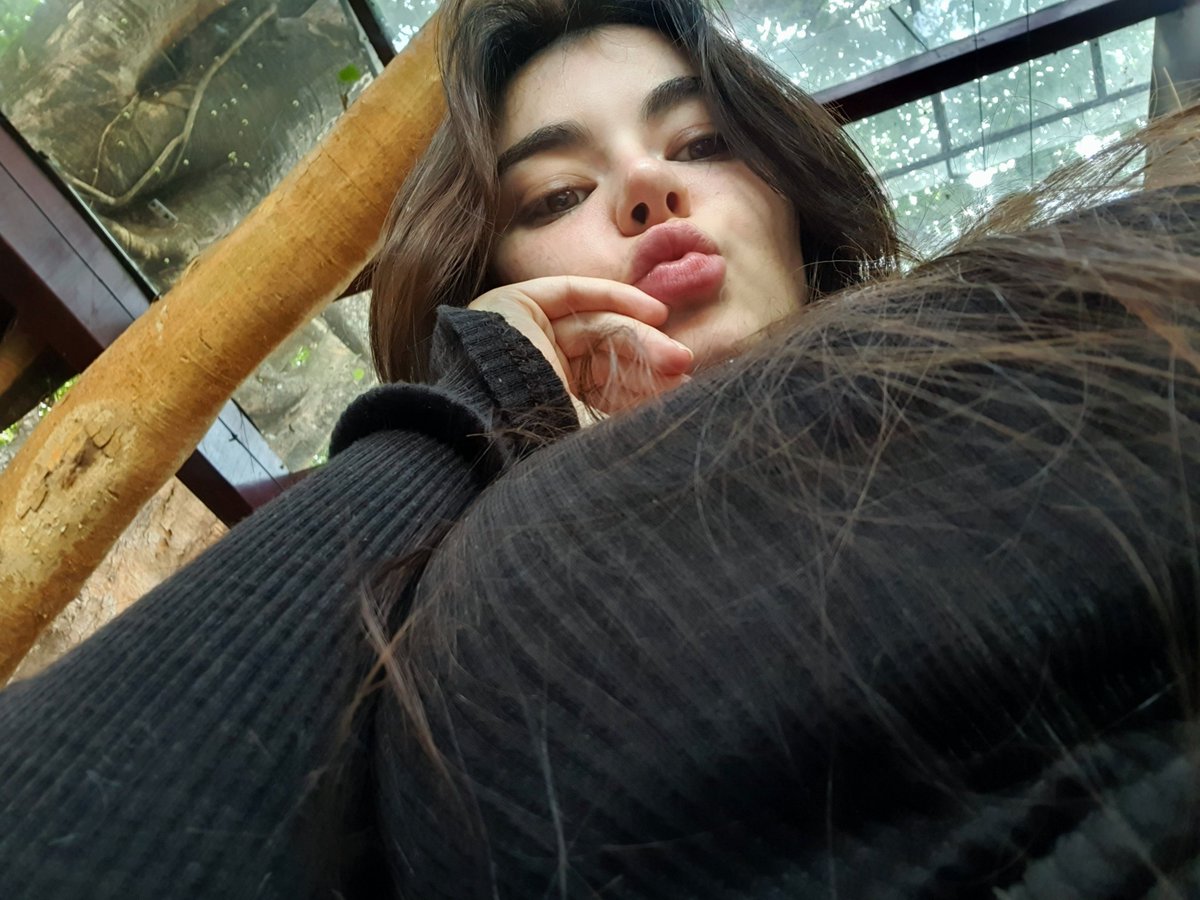 jessicabeppler's tweet photo. What the seafood platter sees before it disappears https://t.co/nES4R5ZYLz