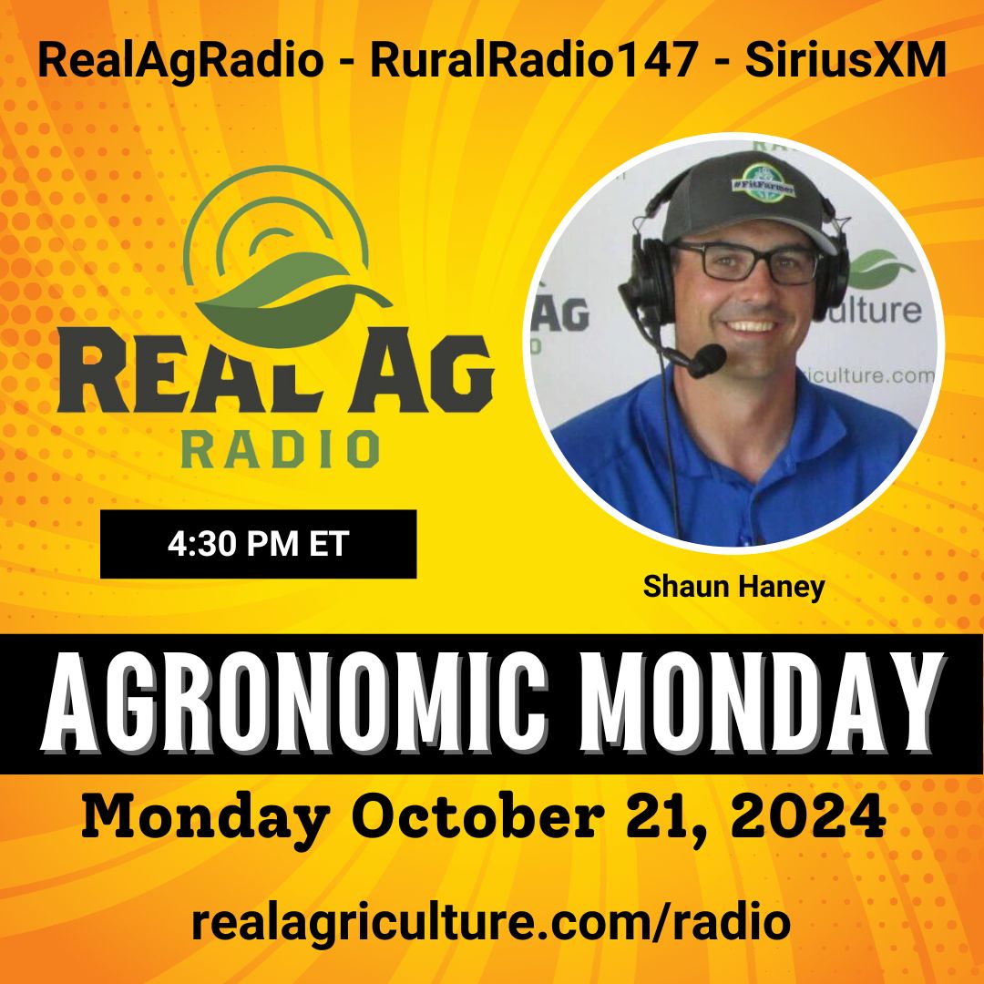 realagriculture's tweet image. Catch #RealAgRadio at 430E on @RuralRadio147! @shaunHaney chats w/ @wheatPete on some agronomic issues, hear a clip w/ @AllanaLewchuk of @BASFAgSolutions on specialty canola vs. commercial canola, &amp;amp; and a clip w/ @FilipchukAidan of @PrideSeeds on matching #silage hybrids! #cdnag