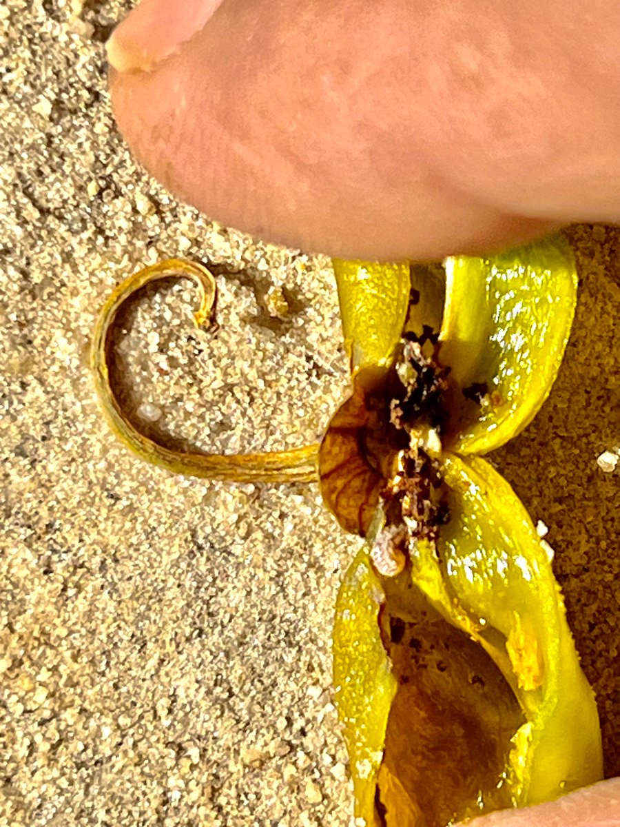 Saumik Basu tweet media