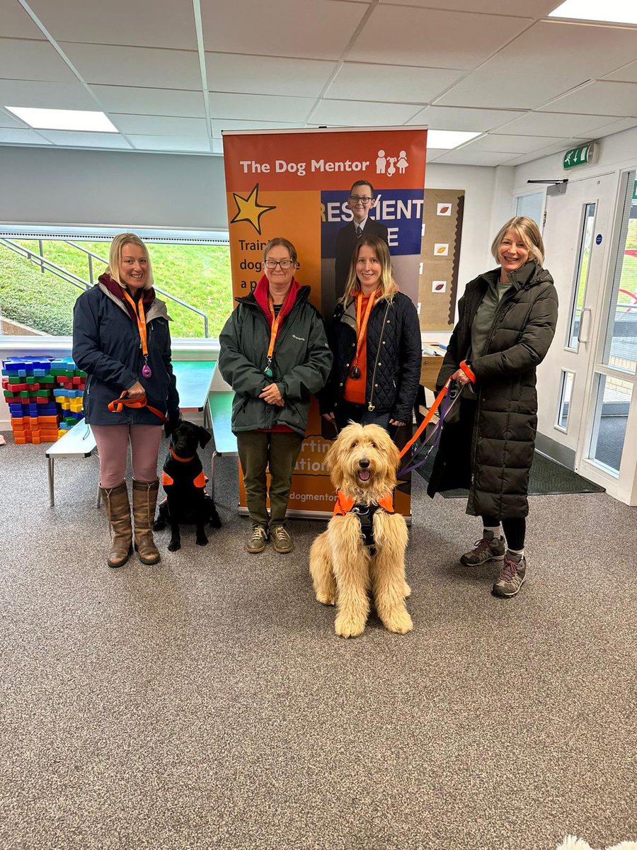 All badged up a certified! Winnie and Florrie passed their Dog Mentor training with flying colours! <a href="/TheDogMentorUK/">The Dog Mentor</a> #smallbutmighty #dogmentor #lovedogs 🐶🐾🦮🩷