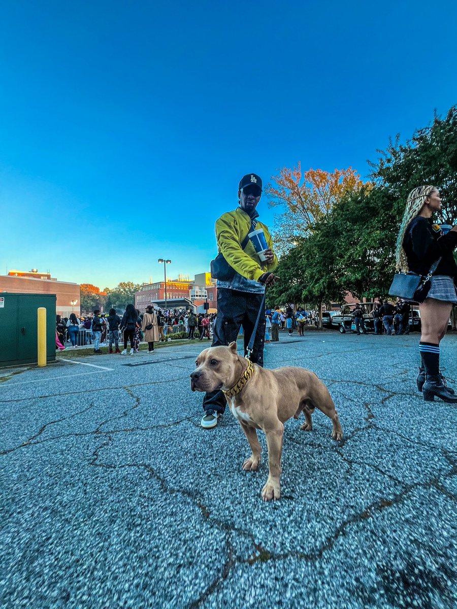 YaMamasBoo's tweet photo. GHOE 2024 🔵🟡 #GHOE2024 https://t.co/KqI7JsBH4L