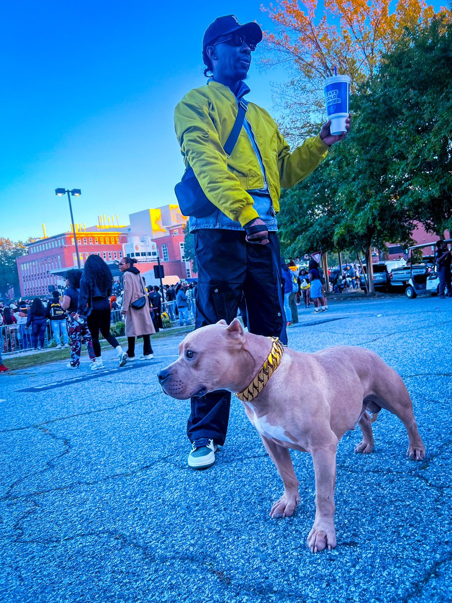 YaMamasBoo's tweet photo. GHOE 2024 🔵🟡 #GHOE2024 https://t.co/KqI7JsBH4L
