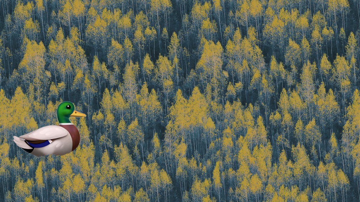 cosmic040's tweet photo. @WeSirv I really like your idea of dynamic imaging! 

But atm I can't get Sirv to handle this seemingly easy &amp; useful task: 

- Create a 500px square jpg while considering the point of interest. (But without exessive cropping!)

🤔 Any ideas?

👁️ Test-image &amp; task: https://t.co/FITbVbofvA
