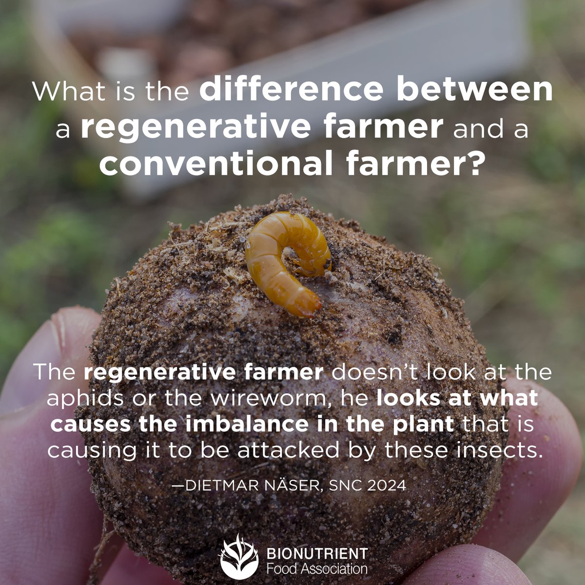 What is the difference between a regenerative farmer and a conventional farmer?  As far as an integrated perspective on what regenerative ag is, some very important insights.