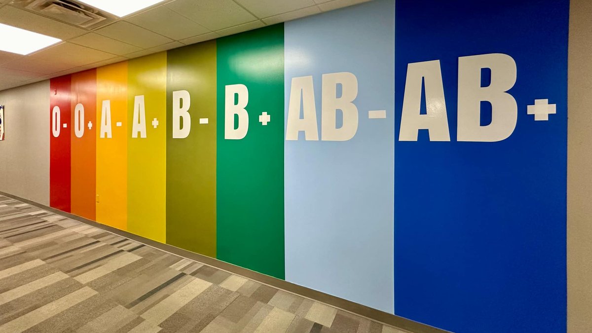 weconnectlife's tweet image. INTRODUCING OUR BLOOD TYPE MURAL 🅾️🅰️🅱️🆎 

#bloodtype #mural #weconnectlife